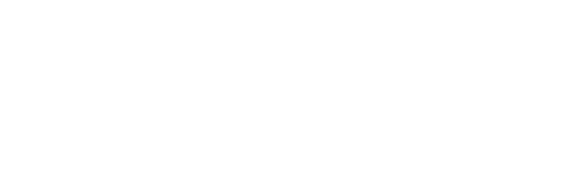 Gonzo Media